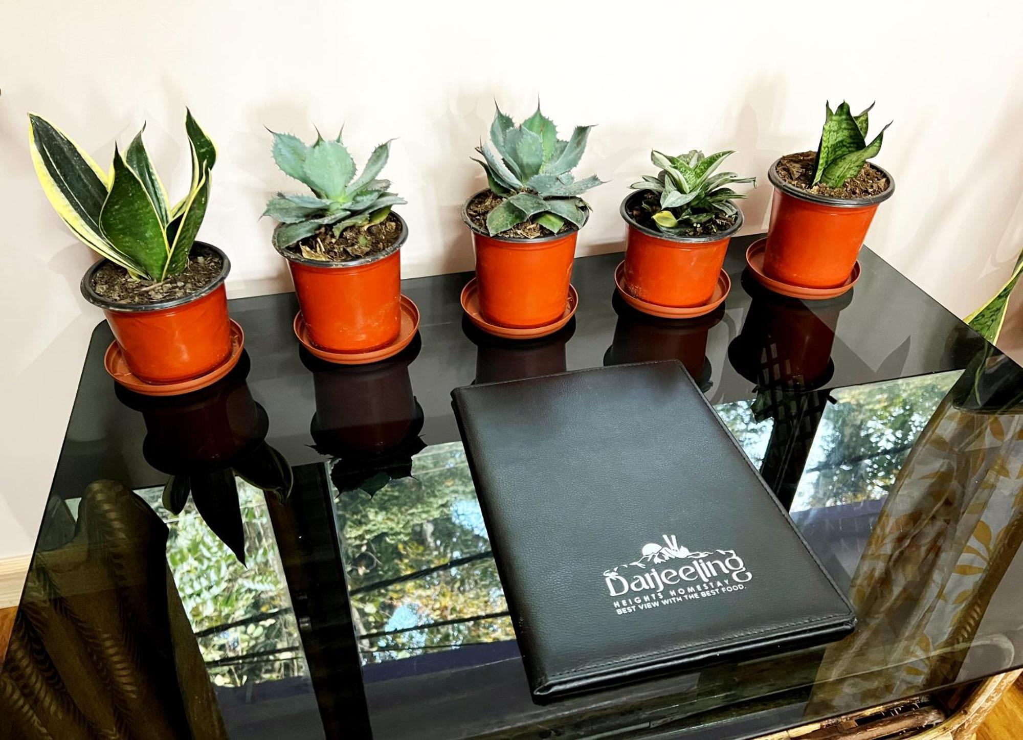 Darjeeling Heights - A Boutique Mountain View Homestay Quarto foto